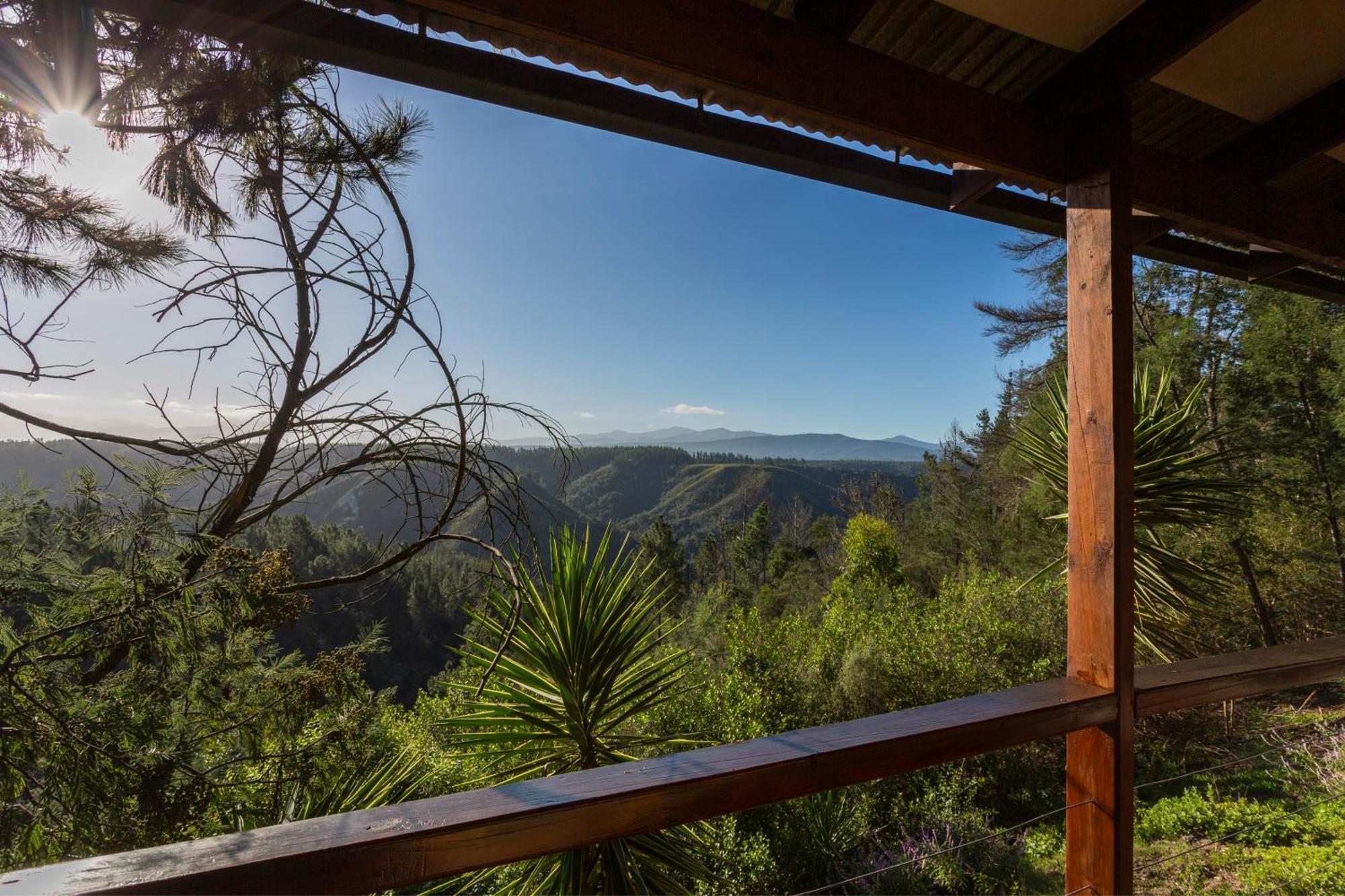 Forest Valley Cottages Knysna Dış mekan fotoğraf